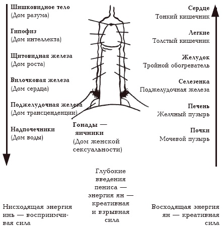 Секреты любви. Даосская практика для женщин и мужчин