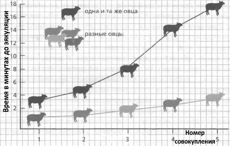 Мужчина в отрыве. Игры, порно и потеря идентичности