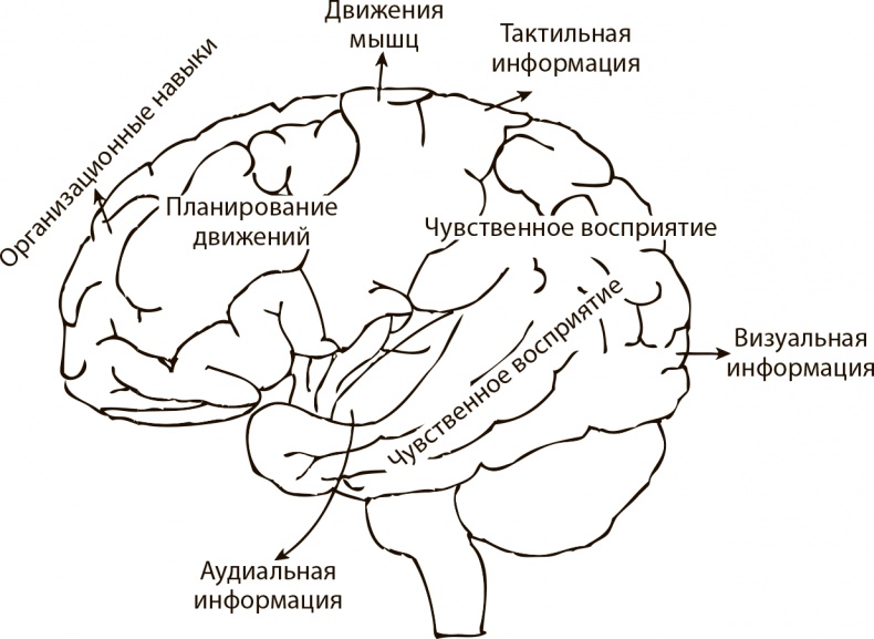 Ваш ребенок может все