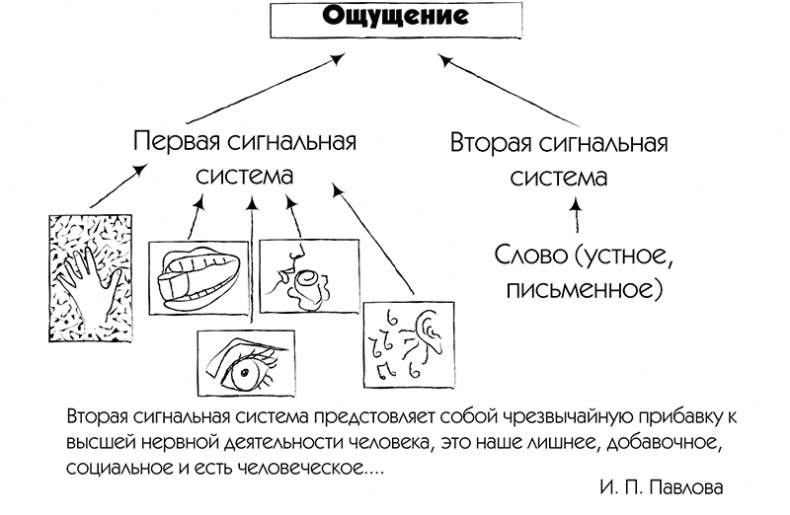 МЖ. Как научиться жить душа в душу с тем, кого любишь