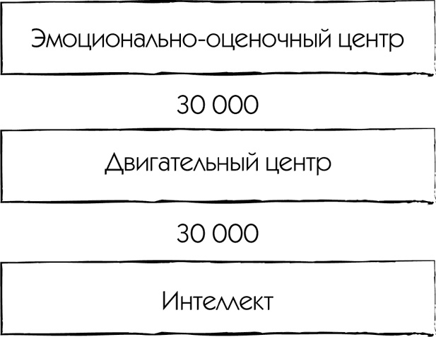 МЖ. Как научиться жить душа в душу с тем, кого любишь