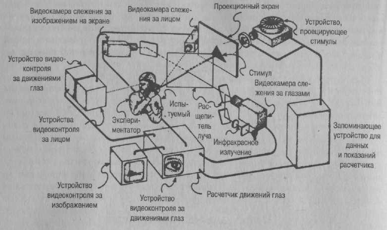 Психология развития. Методы исследования