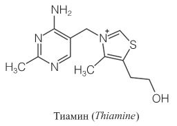 Удивительные истории о веществах самых разных. Тайны тех, что составляют землю, воду, воздух... и поэзию