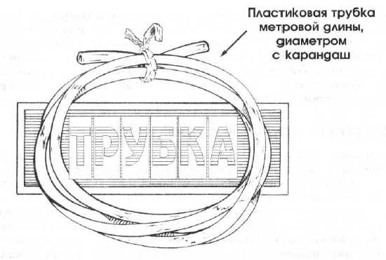 36,6 градусов. Искусство оставаться в живых!