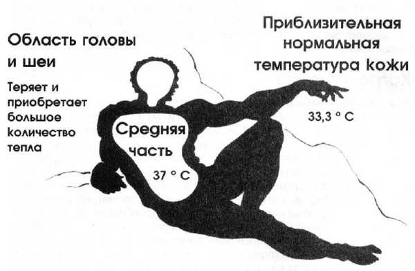 36,6 градусов. Искусство оставаться в живых!