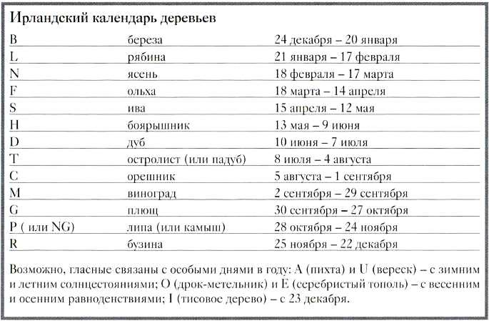 Кельты. Первые европейцы