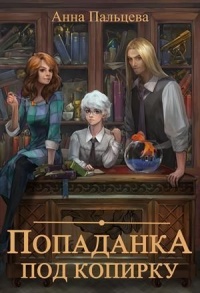 Книга Попаданка под копирку