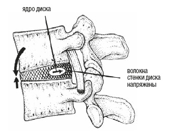 Настольная книга для тех, у кого болит спина