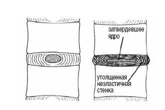 Настольная книга для тех, у кого болит спина