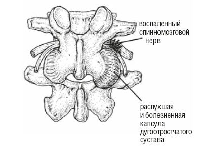 Настольная книга для тех, у кого болит спина