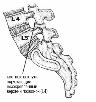 Настольная книга для тех, у кого болит спина