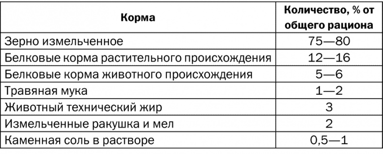 Разведение и выращивание кур обычных пород и бройлеров