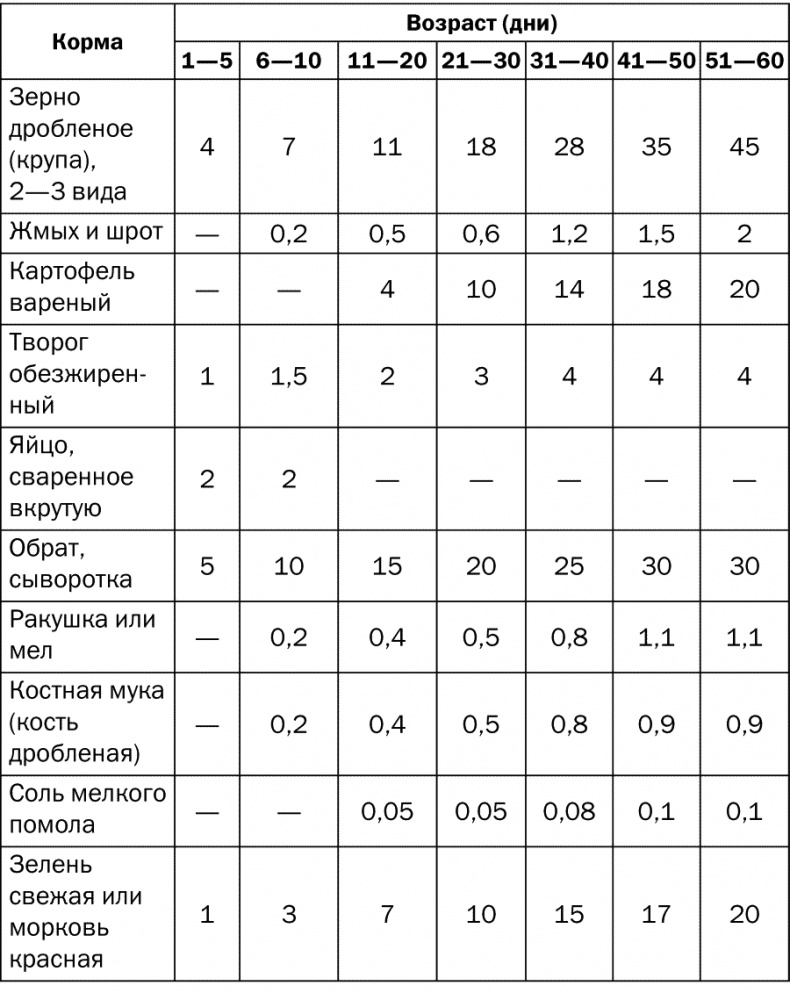 Разведение и выращивание кур обычных пород и бройлеров