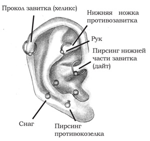 Энциклопедия Пирсинга. Настольная книга мастера и клиента