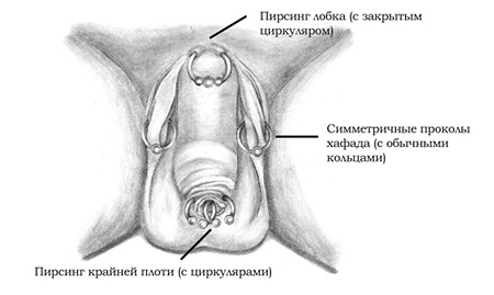 Энциклопедия Пирсинга. Настольная книга мастера и клиента