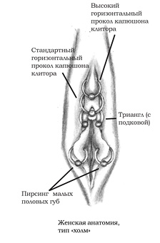 Энциклопедия Пирсинга. Настольная книга мастера и клиента