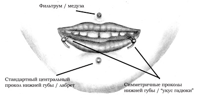 Энциклопедия Пирсинга. Настольная книга мастера и клиента