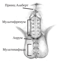 Энциклопедия Пирсинга. Настольная книга мастера и клиента