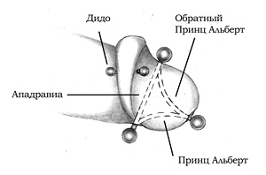 Энциклопедия Пирсинга. Настольная книга мастера и клиента