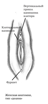 Энциклопедия Пирсинга. Настольная книга мастера и клиента