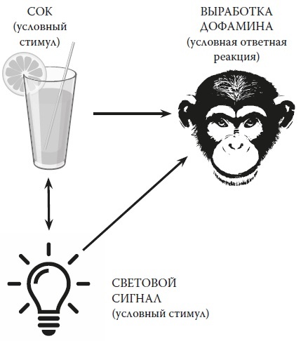 Вся правда о гормонах и не только