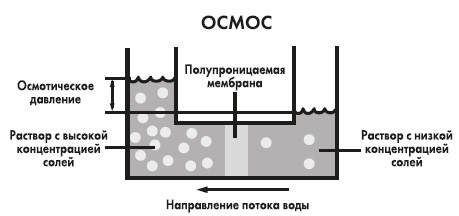 Вся правда о гормонах и не только