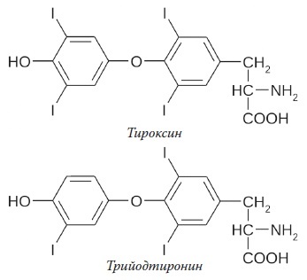 Вся правда о гормонах и не только