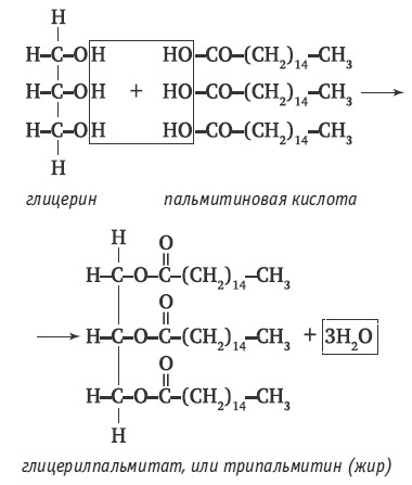 Вся правда о гормонах и не только