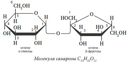 Вся правда о гормонах и не только