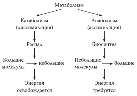 Вся правда о гормонах и не только