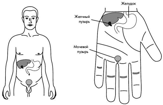 Су-Джок лечит. Мигрень, кашель, боль в спине, тяжесть в желудке