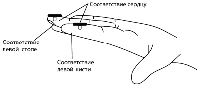 Су-Джок лечит. Мигрень, кашель, боль в спине, тяжесть в желудке