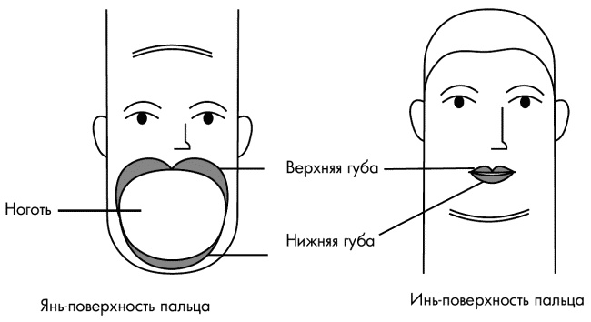 Су-Джок лечит. Мигрень, кашель, боль в спине, тяжесть в желудке