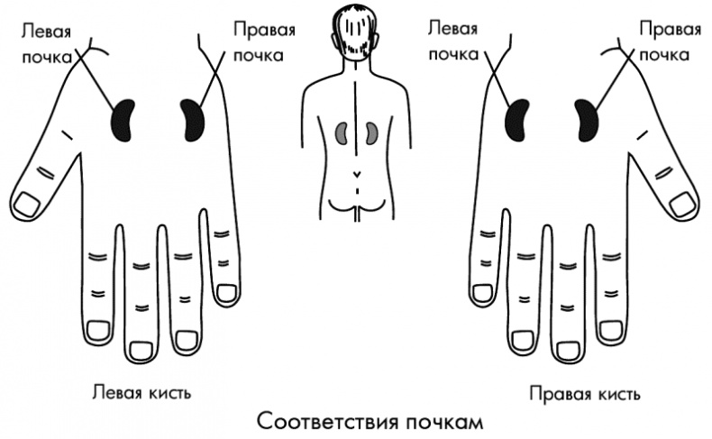 Су-Джок лечит. Мигрень, кашель, боль в спине, тяжесть в желудке