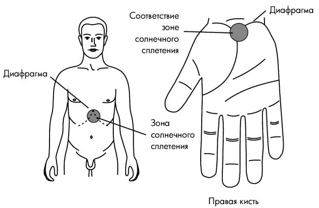 Су-Джок лечит. Мигрень, кашель, боль в спине, тяжесть в желудке