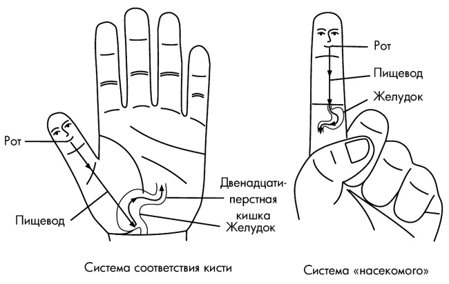 Су-Джок лечит. Мигрень, кашель, боль в спине, тяжесть в желудке