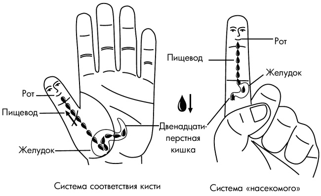 Су-Джок лечит. Мигрень, кашель, боль в спине, тяжесть в желудке