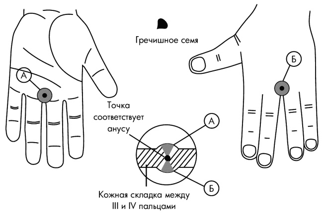 Су-Джок лечит. Мигрень, кашель, боль в спине, тяжесть в желудке