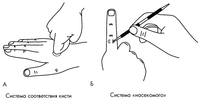 Су-Джок лечит. Мигрень, кашель, боль в спине, тяжесть в желудке