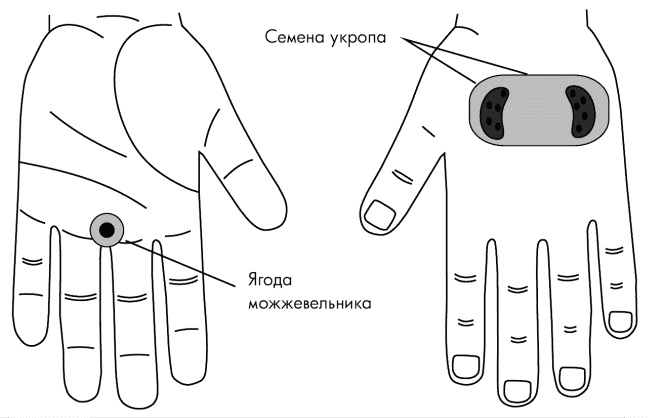 Су-Джок лечит. Мигрень, кашель, боль в спине, тяжесть в желудке