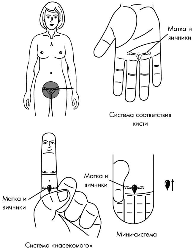 Су-Джок лечит. Мигрень, кашель, боль в спине, тяжесть в желудке