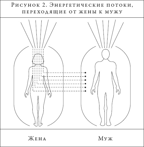 Анатомия духа. Семь ступеней к силе и исцелению