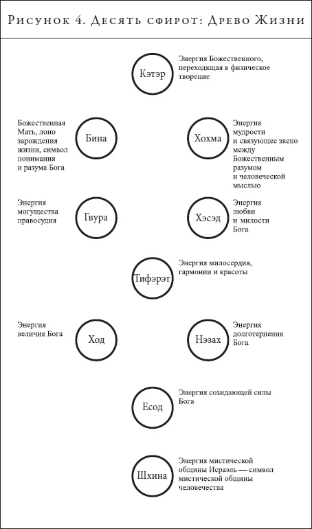 Анатомия духа. Семь ступеней к силе и исцелению