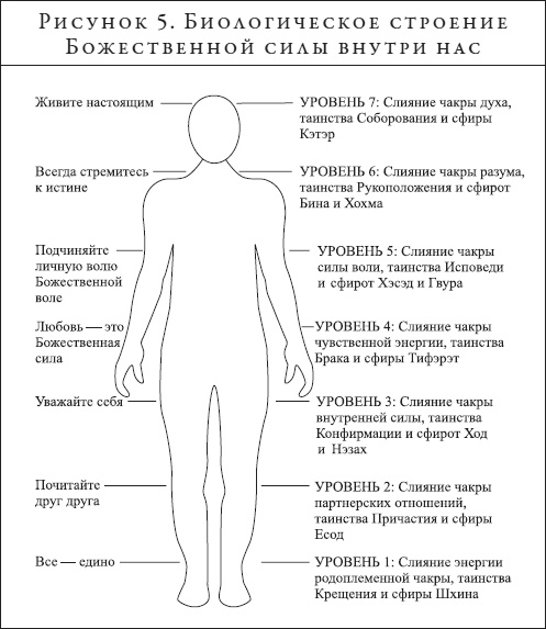 Анатомия духа. Семь ступеней к силе и исцелению