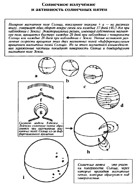 Белые божества инков