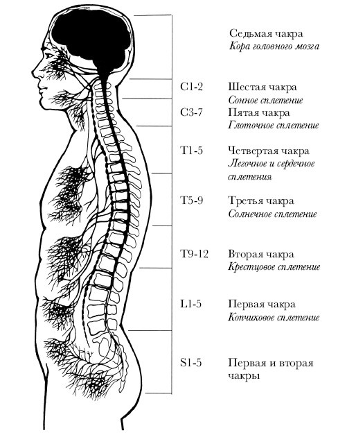 Чакры. Полная энциклопедия