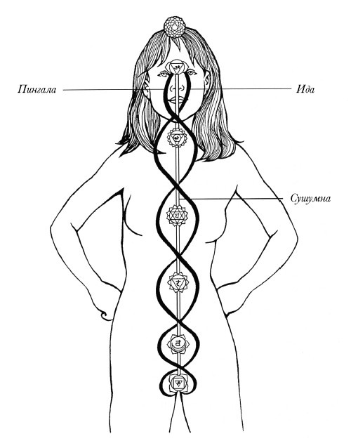 Чакры. Полная энциклопедия