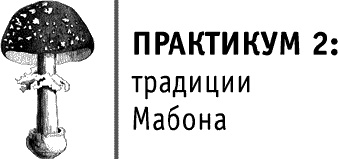 Круг Года. Викканские праздники, их атрибуты и значение