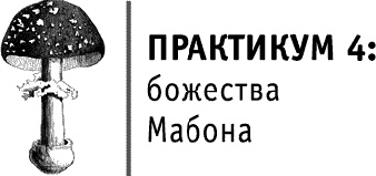 Круг Года. Викканские праздники, их атрибуты и значение