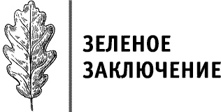 Круг Года. Викканские праздники, их атрибуты и значение